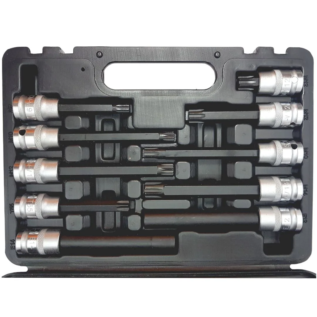 Puntas para tapa de cilindros – Torx Ribe Multiestría – 10 pcs.