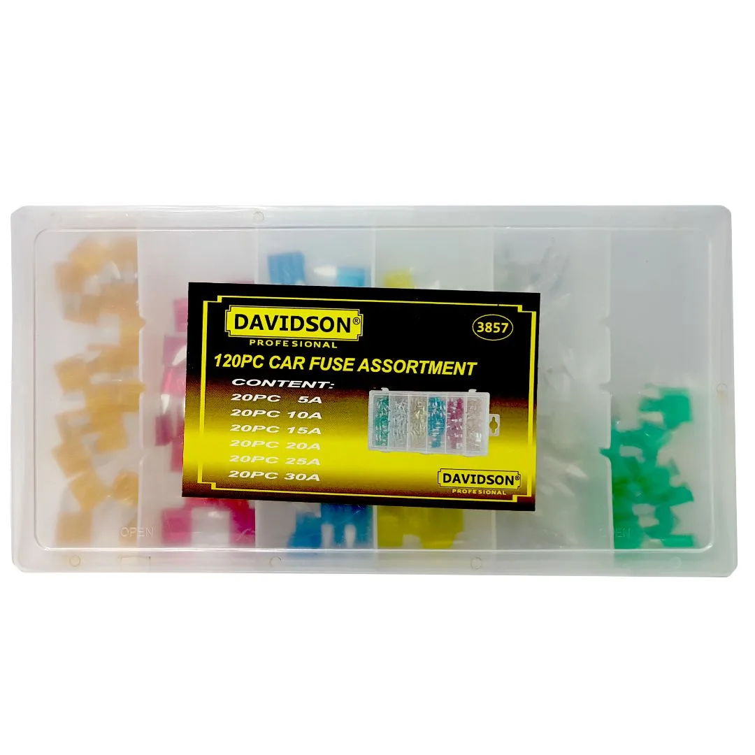 Surtido de Fusibles chicos – 120 pcs. - imagen 2