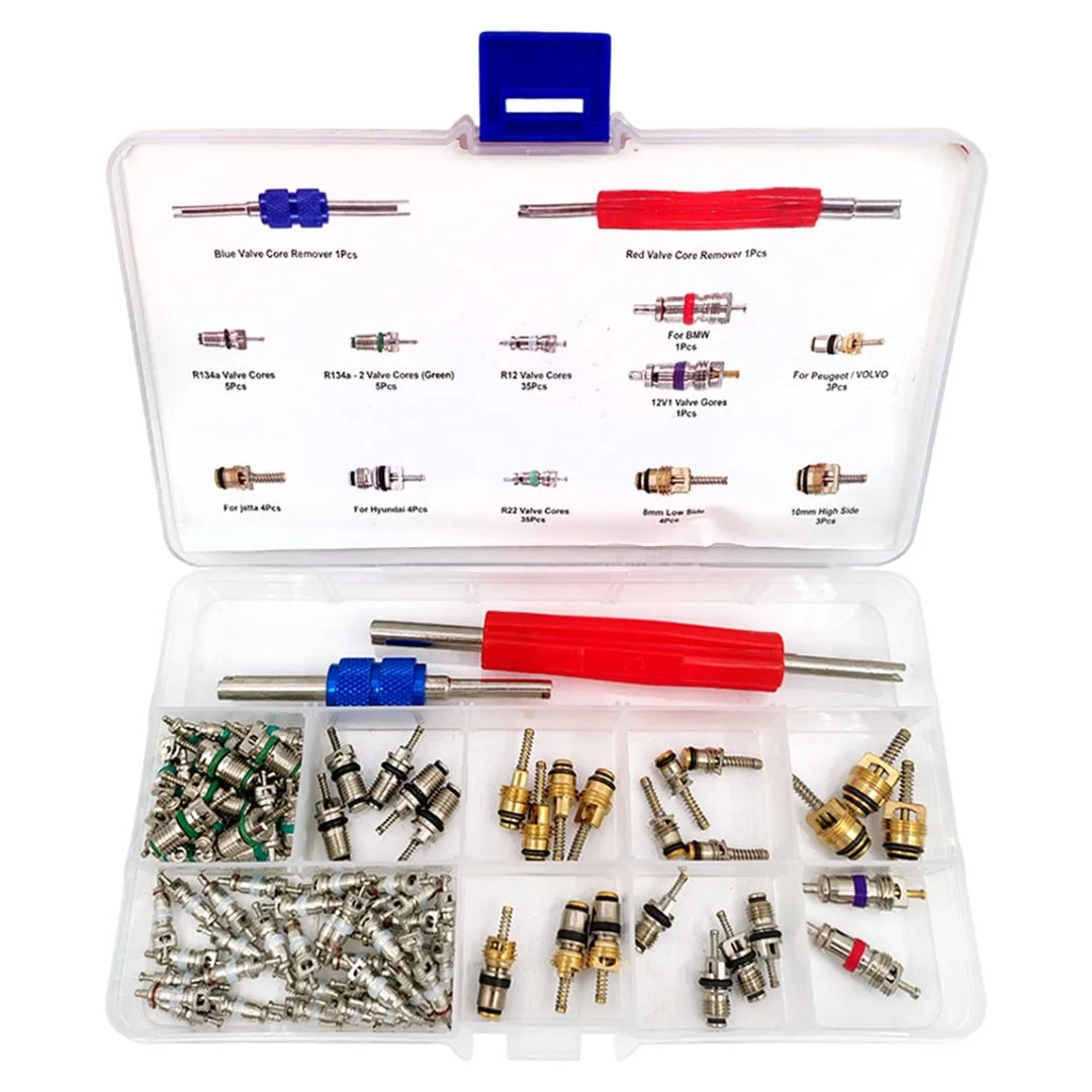 Núcleos de válvula Aire Acondicionado – R134a / R12 – 102 piezas